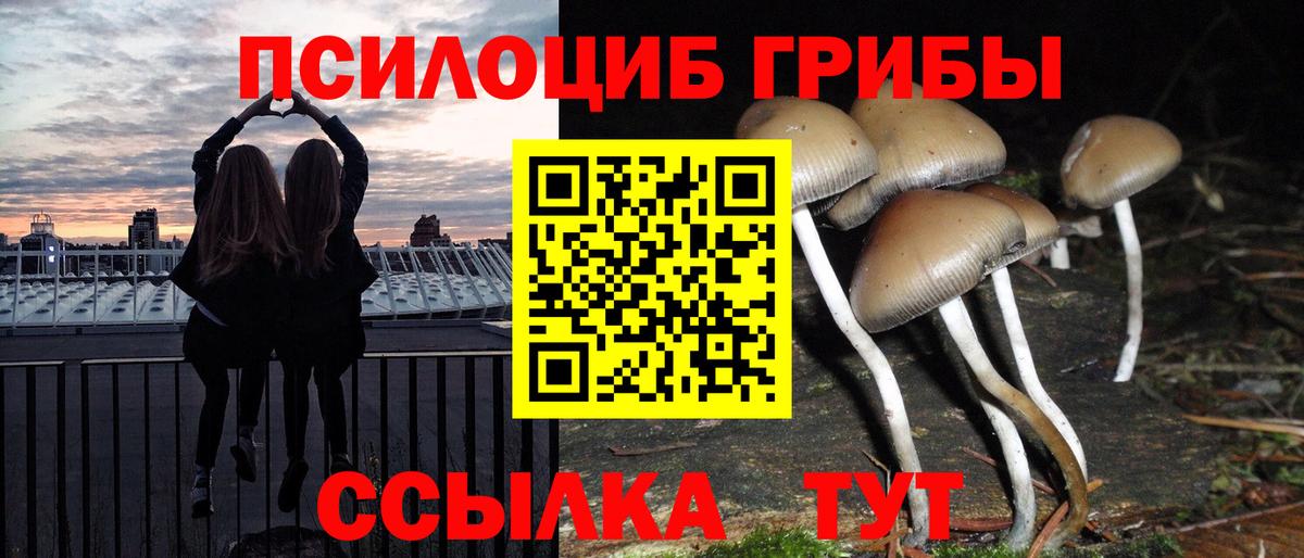 Псилоцибиновые грибы MAGIC MUSHROOMS  как найти закладки  Псилоцибиновые грибы Magic Shrooms  Прохладный  Вход с VPN 